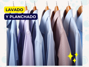 PACK 20 CAMISAS (O SIMILAR)