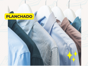 PACK PLANCHADO 10 CAMISAS (O SIMILAR)