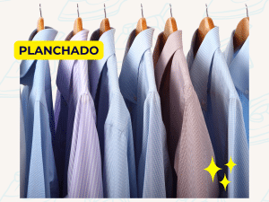 PACK PLANCHADO 20 CAMISAS (O SIMILAR)