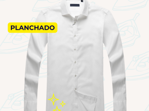 PLANCHADO CAMISA (BLUSA, POLO, CAMISETA, SUÉTER)